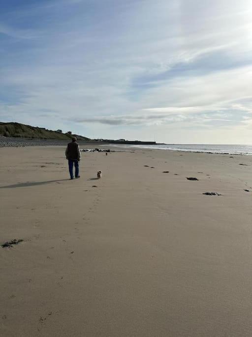 The Mustard Seed Villa Kilkeel Bagian luar foto